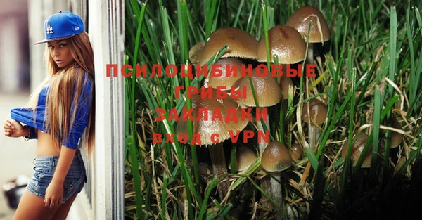 бошки Абдулино