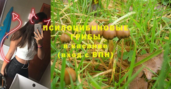 метадон Алексеевка